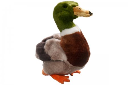 Plüsch-Ente, Stockente