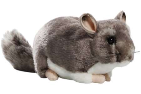 Plüsch-Chinchilla