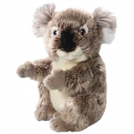 Plüsch-Koala Bär