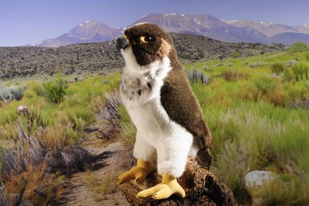 Plüsch Wanderfalke