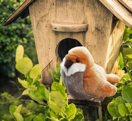 Kösener Spatz grau braun