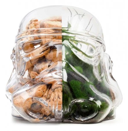 Original Stormtrooper Vorratsdose / Terrarium Trooper
