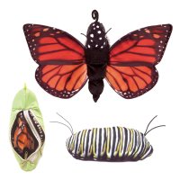 Handpuppe Metamorphose Schmetterling 30 cm