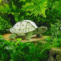 Landschildkröte (helles Muster) 32,5 cm