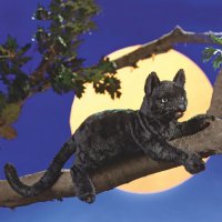 Handpuppe Schwarze Katze 50 cm
