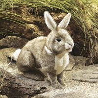 Folkmanis Handpuppe Baumwollschwanzkaninchen