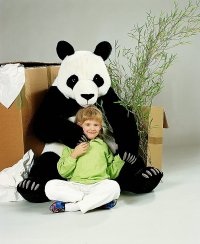 Kösener Panda 100cm Plüschtier