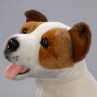 Jack Russel sitzend ca. 40 cm