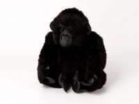 Kösener- Gorilla Weibchen