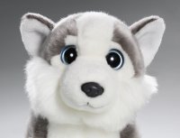 Husky mit großen Augen ca. 28 cm