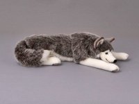 Kösener -Husky- liegend