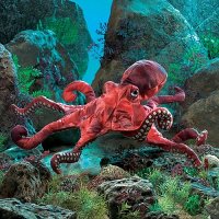 Handpuppe Roter Oktopus