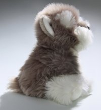 Schnauzer Welpe ca. 22 cm