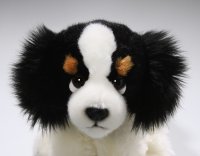 Cavalier King Charles Spaniel sitzend ca. 22 cm