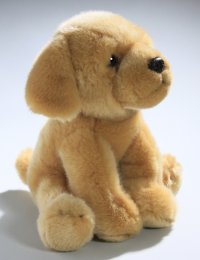 Golden Retriever Welpe sitzend ca. 22 cm