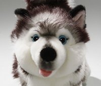 Plüsch-Husky stehend