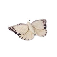 WWF Plüschtier Schmetterling 20 cm
