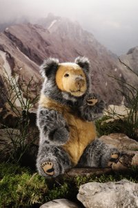 Kösener-Tibetischer Bär