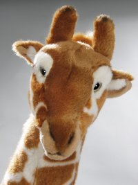 Giraffe stehend ca. 46 cm 30 cm lang