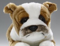 Bulldogge liegend ca. 25 cm