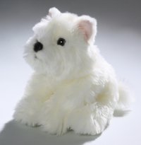 Westie Highland Terrier Welpe ca. 22 cm