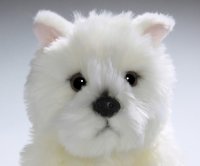 Westie Highland Terrier Welpe ca. 22 cm