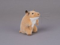 Kösener- Hamster Berti sitzend