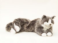 Kösener-Maine Coon Katze grau