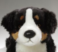 Plüsch Berner Sennenhund liegendca. 40 cm