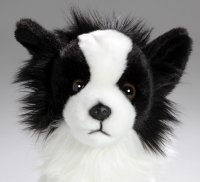 Chihuahua sitzend schwarz-weiss ca. 20 cm