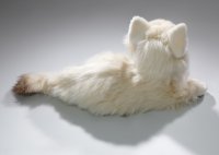 Plüsch Katze liegend Birmakatze ca. 30 cm
