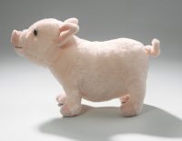 Schwein, Ferkel ca. 26 cm