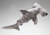 Hammerhai grau ca. 23 cm