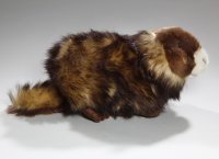 Plüsch Murmeltier ca. 23 cm