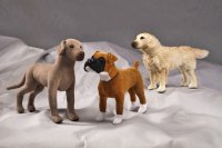 Kösener-Deutsche Dogge (Minitier)