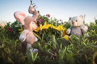 Hoodie-Bär TeddyFant rosé 27 cm