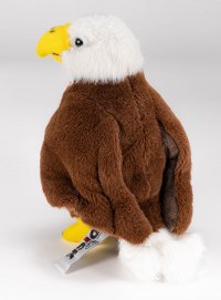 Adler Nestling ca, 18 cm