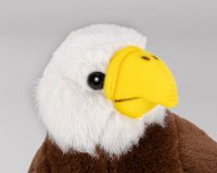 Adler Nestling ca, 18 cm