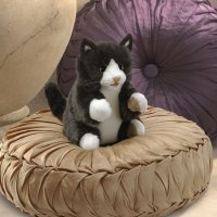 Handpuppe Tuxedo Kätzchen 23 cm