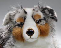 Plüsch Australischer Schäferhund, liegend ca. 43 cm