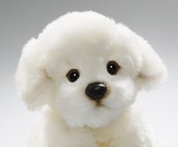 Plüsch-Bichon sitzend ca.24 cm