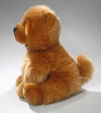 Chow-Chow 25 cm