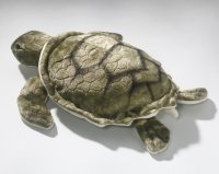 Meeresschildkröte ca. 31 cm