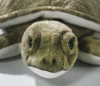 Meeresschildkröte ca. 31 cm