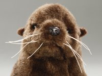 Seelöwe braun ca. 24 cm