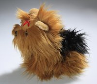 Yorkshire Terrier Welpe sitzend ca. 22 cm