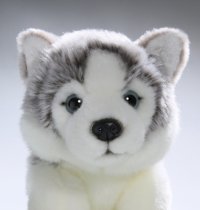 Husky Welpe sitzend ca. 22 cm