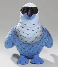 Lappenkrähe, Kokako ca.18 cm