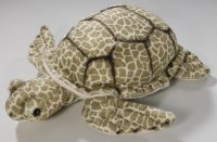 Schildkröte ca. 21 cm