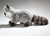 Waschbär 25cm, 37cm mit Schwanz